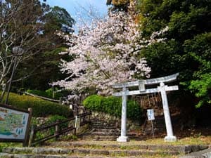 秋葉公園