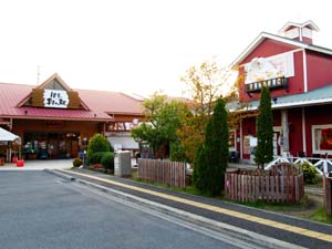 伊豆 村の駅