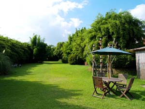 富士竹類植物園