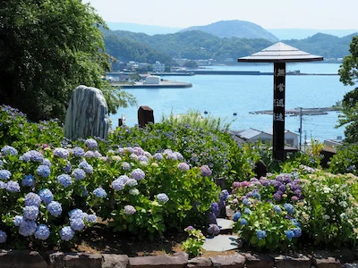 照江寺
