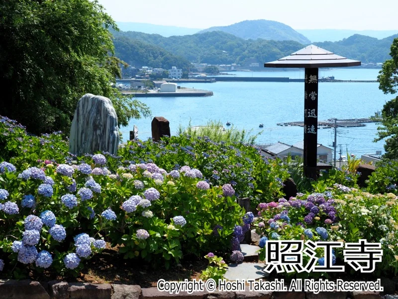 照江寺