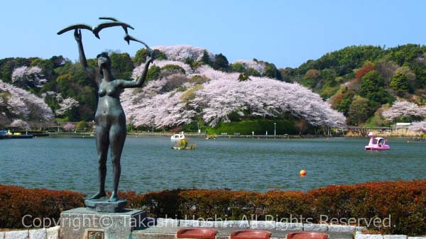 藤枝市の観光スポット・観光名所の決定版!