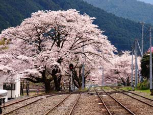 川根両国駅