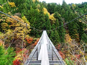 夢の吊橋