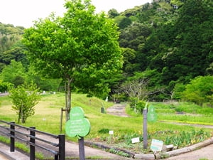 新野水のめぐみ公園