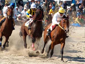 さがら草競馬大会