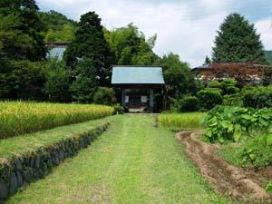 勝福寺