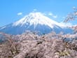 静岡県のお花見スポット