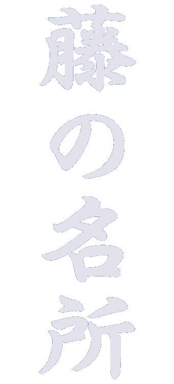 静岡・伊豆の藤・長藤まつり