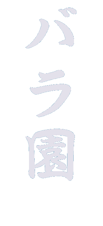 静岡・伊豆のバラの名所・バラ園