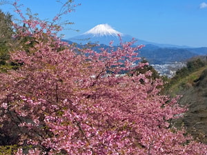 円山花木園