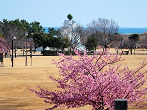 吉田公園