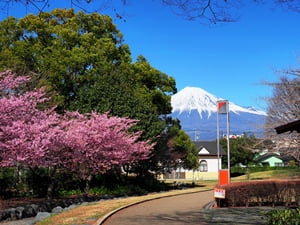 米の宮公園