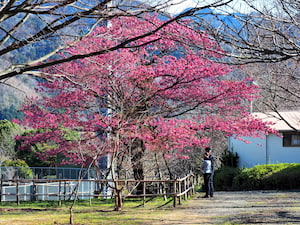 丸山スポーツ公園