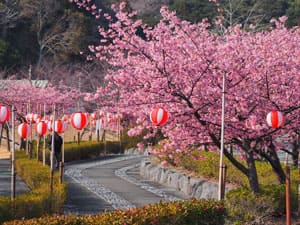 あらさわふる里公園