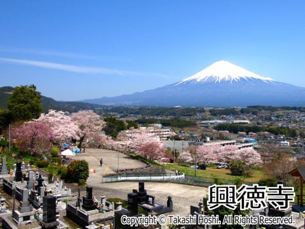 芝川の観光スポットなら 駿河湾navi するナビ