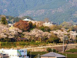 天王山公園