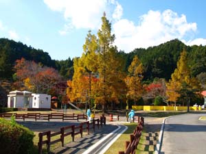 島田市中央公園