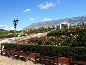 島田市ばらの丘公園