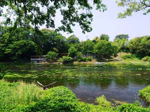 柿田川公園