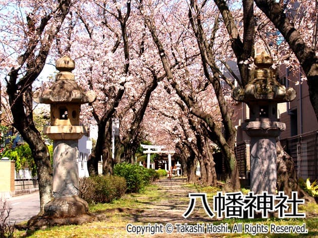 八幡神社