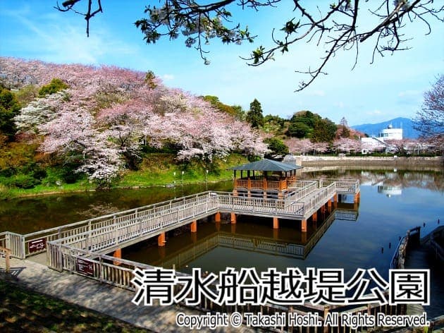 清水船越堤公園