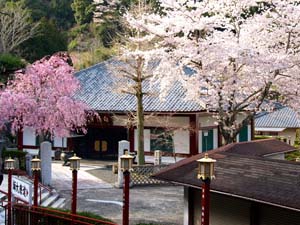 向陽寺