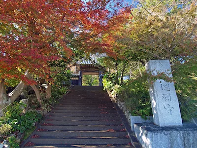 徳願寺