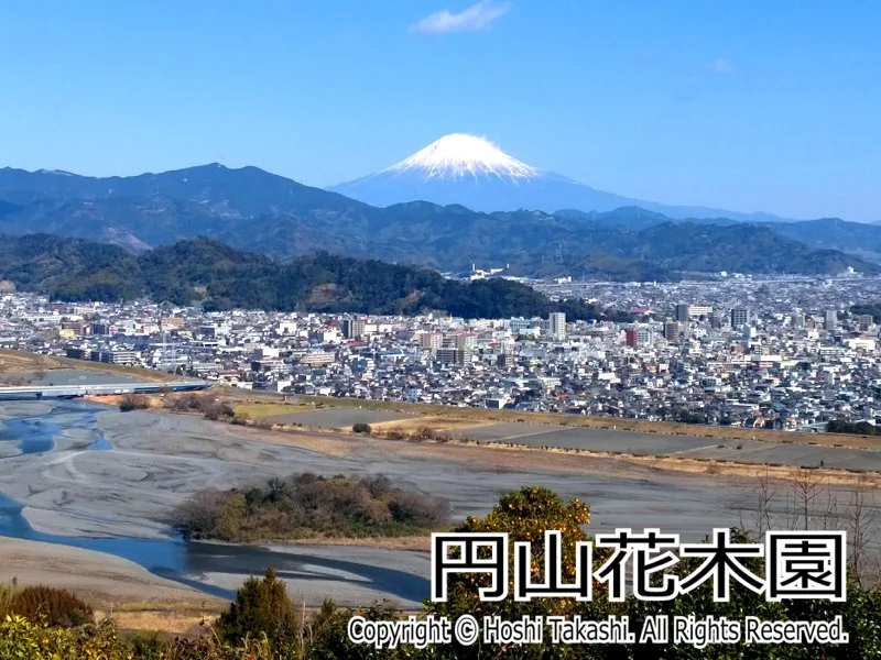 円山花木園