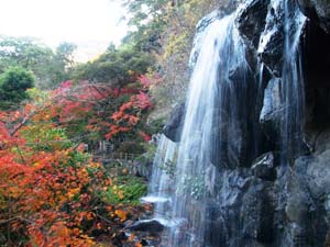 梅見の滝