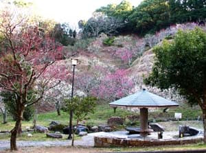 蓮華寺池公園