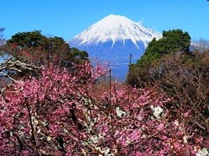 岩本山公園