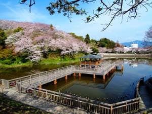 清水船越堤公園