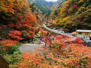 梅ヶ島温泉