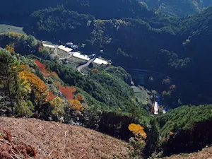 たかんば